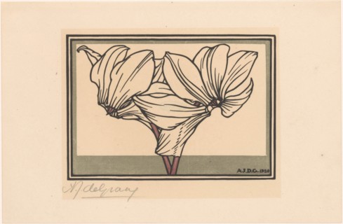 Cyclamen, 1920. Creator: Julie de Graag.