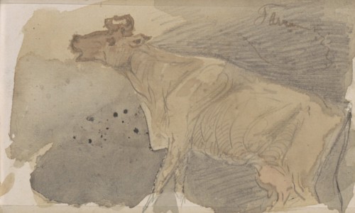 Cow, 1864-1880. Creator: Johannes Tavenraat.