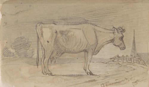 Cow in a meadow, 1864-1880. Creator: Johannes Tavenraat.