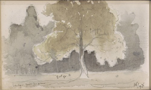 Forest with a field with a tree in the foreground, 1871. Creator: Johannes Tavenraat.