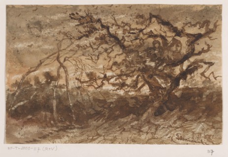 Tree at sunset, 1835-1845. Creator: Johannes Tavenraat.
