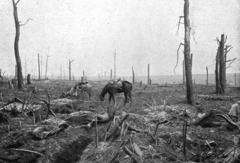 'Sur le rerrain de l'avance Francaise au sud de la Somme; dans le Bois Hache, le bien nomme..., 1916 Creator: Unknown.