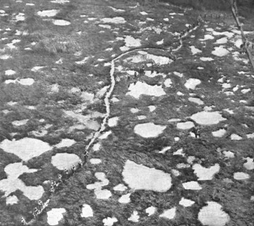 ''En Champagne; L'attaque du 26 septembre 1918, au Nord de Tahure; fantassins un..., 1918. Creator: Unknown.