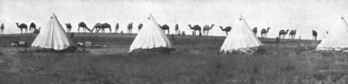 ''La Turquie Succombe; Le camel corps de l'armee britannique de Palestine; un camp dans..., 1918. Creator: Unknown.