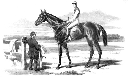 The Celebrated Race-Horse "Fisherman", 1857. Creator: Unknown.
