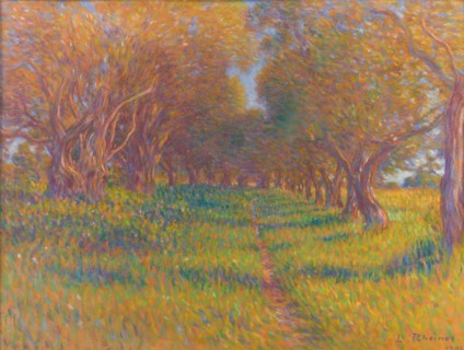 Olive trees in Provence, 1902. Creator: Rheiner, Louis (1863-1924).