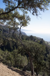 Big Sur, California, USA, 2022. Creator: Ethel Davies.