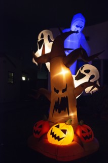 Halloween, San Diego, California, USA, 2022. Creator: Ethel Davies.