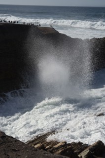 Montana de Oro, San Luis Obispo, California, USA, 2022. Creator: Ethel Davies.