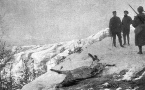 'La campagne d'hiver en Orient; Victime de la route: un ane mort d'epuisement, a demi..., 1917. Creator: Unknown.