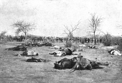 Distant Fronts, At Ouaddai; Silian cavalry shot down a few meters from the square..., 1917. Creator: Unknown.