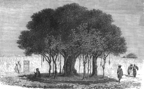 ''Our Camping-ground at Morebougou; Journey from the Senegal to the Niger', 1875. Creator: Unknown.