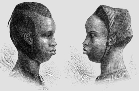 ''Coiffures of Bambara Women; Journey from the Senegal to the Niger', 1875. Creator: Unknown.
