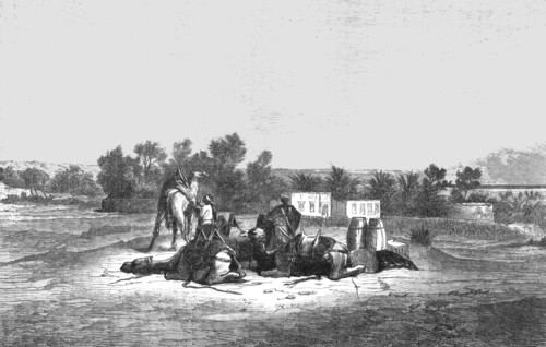 'Fountain of Moses, near Suez; The Red Sea', 1875. Creator: Unknown.