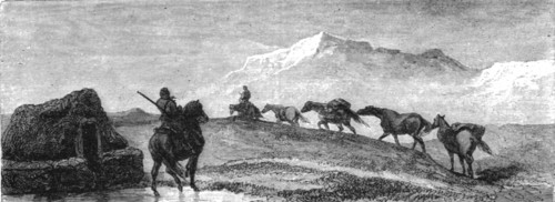 'A team of Ponies; An Icelanders Notes on Iceland', 1875. Creator: Unknown.