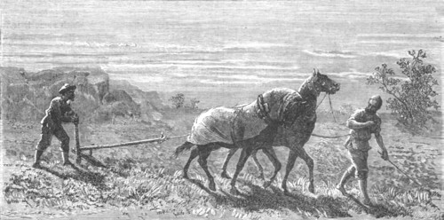 ''Ploughing in Turkestan; Notes on Western Turkistan', 1875. Creator: Unknown.