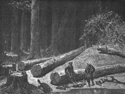 ''Camp in a Pine Forest; A Naturalist's Excursion in Wisconsin', 1875. Creator: Unknown.
