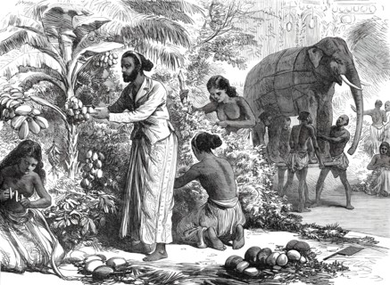 Preparing the decorations at Colombo, Ceylon, for the Royal Visit, from a sketch by one..., 1876. Creator: Unknown.