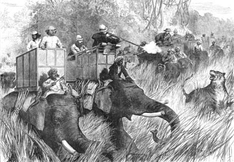 The Prince of Wales Tiger-Shooting with Sir Jung Bahadoor: the Critical Moment...1876. Creator: Unknown.
