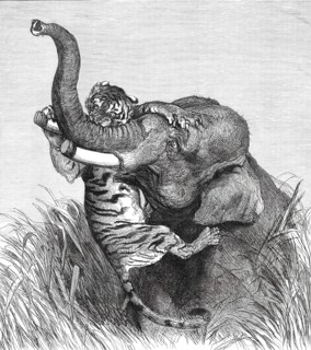 An Indian Hunting Trophy, 1876. Creator: Unknown.