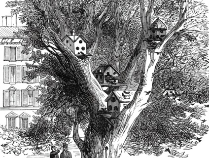 Sparrow-Nests in Philadelphia, 1876. Creator: Unknown.