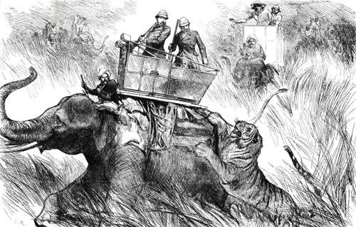 The Prince of Wales's Elephant charged by a Tiger, 1876. Creator: C.R..