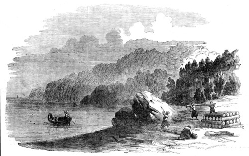 Boxwood Forest on the Shores of the Black Sea, 1858. Creator: Harvey Orrin Smith.