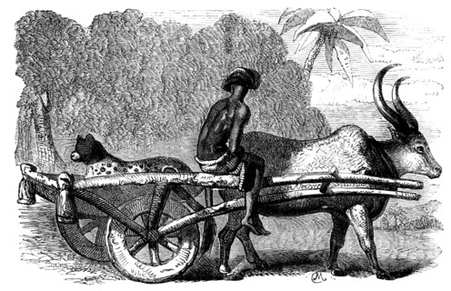 Sketches of Native Life in India - Hunting Leopard, Bengal, 1858. Creator: Unknown.