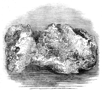The "Welcome" Nugget, 1858. Creator: Unknown.