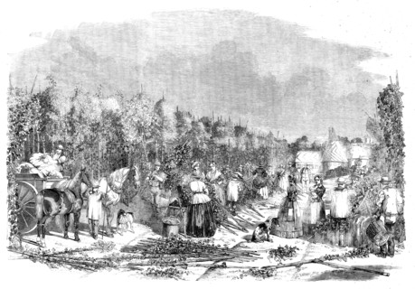 Hop-picking, 1858. Creator: Unknown.