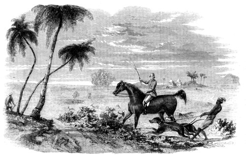 Antelope-Hunting in India - Antelopes driven from Cover, 1858. Creator: Unknown.