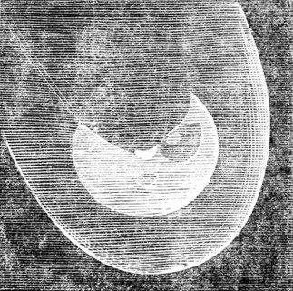 Telescopic Appearances of Donati's Comet, as seen from the Cambridge Observatory, Oct 5, 6.30pm,1858 Creator: Unknown.