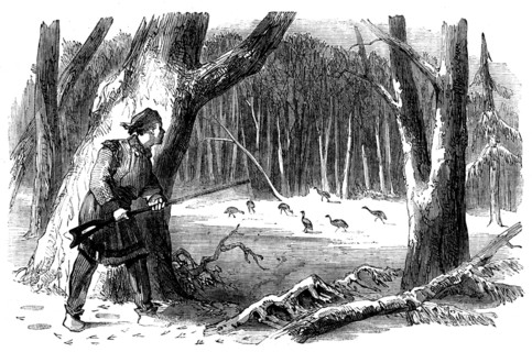Sporting Scenes in Canada - Wild Turkey Shooting, 1858. Creator: Unknown.