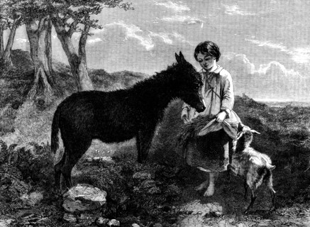 Humble Fare - painted by J. J. Hill, H. Bright, and Earl - from the Flatou Collection, 1858. Creator: Harvey Orrin Smith.