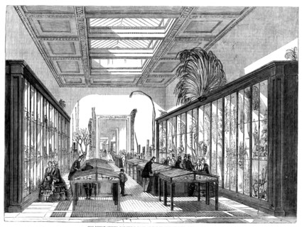 The Newly Opened Botanical Room at the British Museum, 1858. Creator: Unknown.