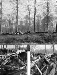 'Les Risques de "Metier"; Le Gotha, quadriplace et bi-moteur, abattu en foret de compiegne..., 1918. Creator: Unknown.