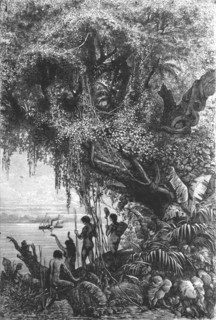 'First Steamboat on the Orinoco; A Journey up the Orinoco', 1875. Creator: Unknown.