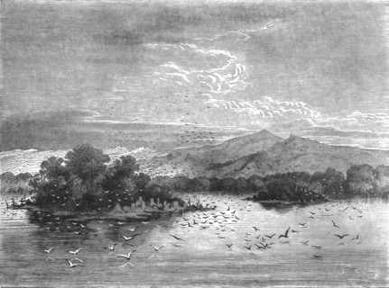 'The sacred Isles of Lake Jonanga; The Gaboon.', 1875. Creator: Unknown.