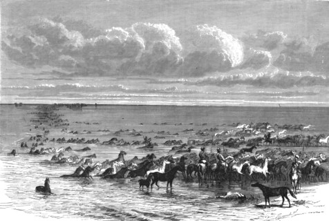 'A troup of horses crossing the Volga; A Journey on the Volga', 1875. Creator: Nicholas Rowe.