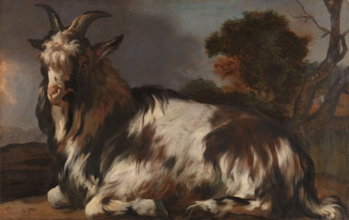 Goat Lying Down, 1645-1660. Creator: Jan Baptist Weenix.
