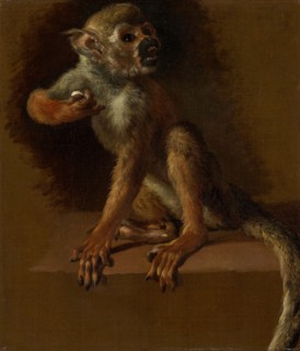 A Seated Monkey, before 1685. Creator: Jan Weenix.