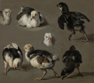 Seven Chicks, c.1665-c.1668. Creator: Melchior d'Hondecoeter.
