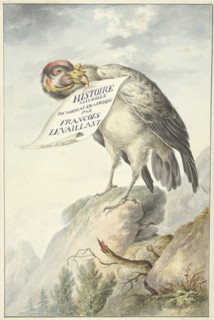 Crested vulture with a sheet of paper in its beak, 1763-1824.  Creator: Circle of François Le Vaillant.