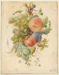 Fruit, 1677-1726. Creator: Herman Henstenburgh.