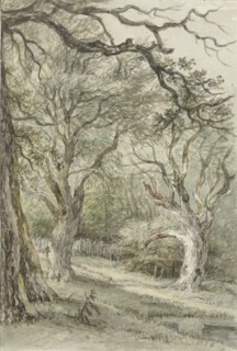 Forest face, 1776-1822. Creator: Jan Hulswit.