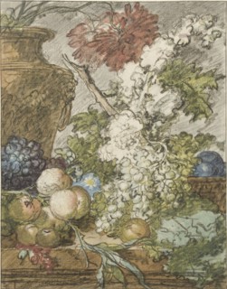 Sketch for a Still Life of Fruit and Flowers, c.1725-c.1735. Creator: Jan van Huysum.