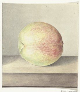 Peach, 1775-1833. Creator: Jean Bernard.