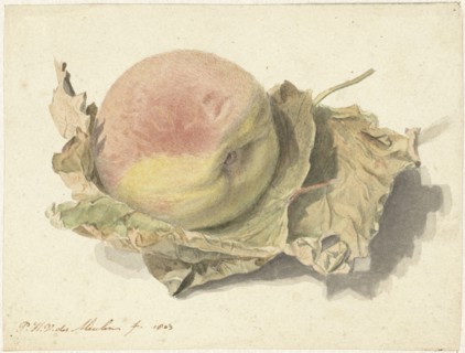 Peach on two leaves, 1803. Creator: Pieter van der Meulen.