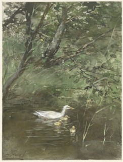 Ducks in the water, 1854-1892. Creator: Willem Maris.