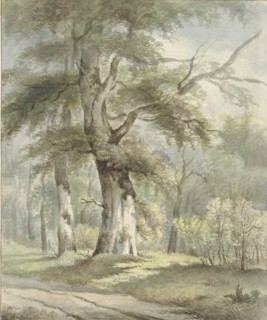 Forest view, 1813-1863. Creator: Arnoldus Johannes Eymer.